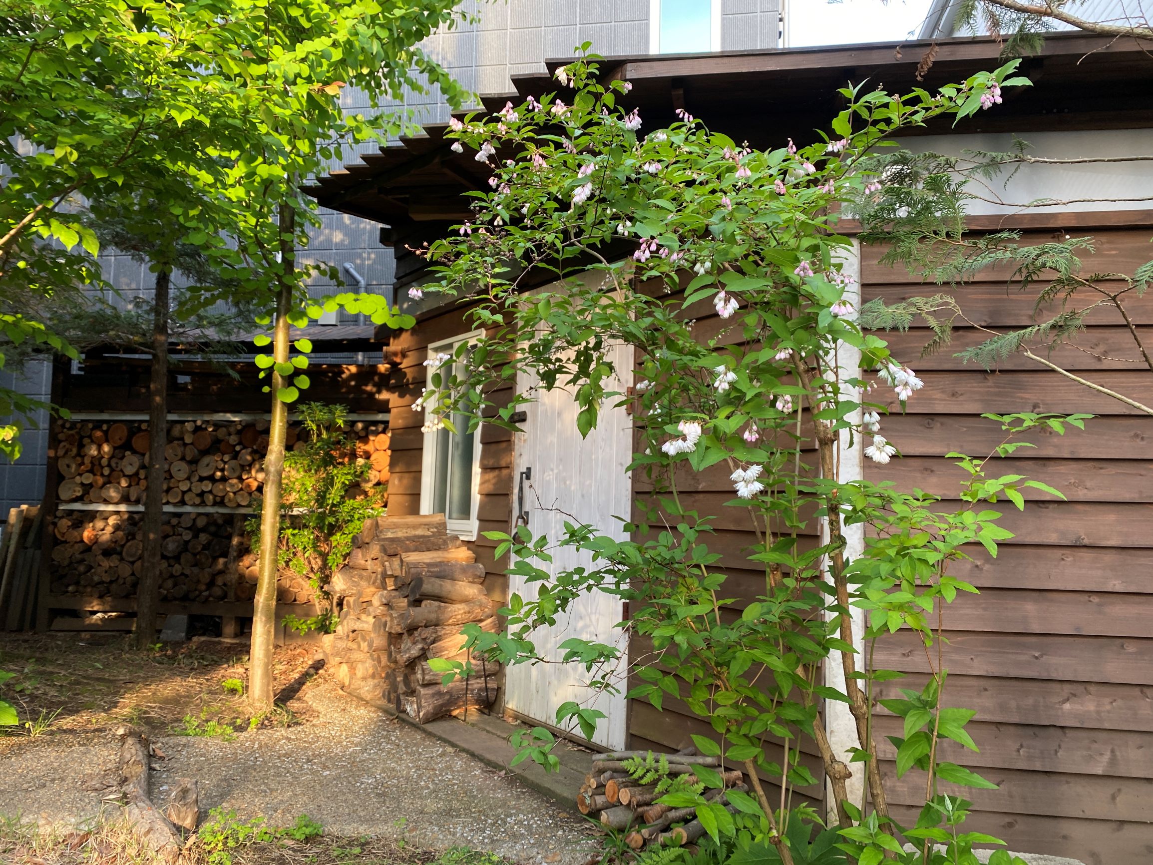 神奈川県相模原市 幹制作所アトリエ雑木と山野草の庭づくり 小屋のある庭づくり ウッドデッキテラスの庭づくり 雑木の庭の四季を感じる庭づくり 幹制作所